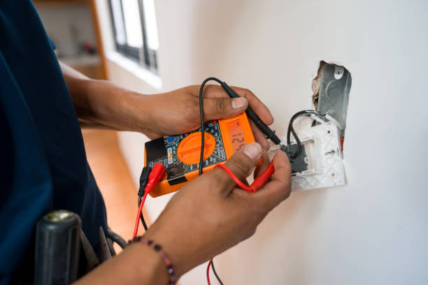 Best Home Electrical Repair  in Fennville, MI