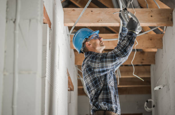 Best Electric Panel Repair  in Fennville, MI