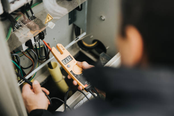 Best Licensed Electrician  in Fennville, MI