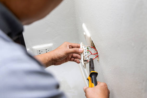 Best Electrical Rewiring Services  in Fennville, MI