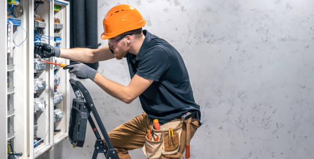 Best Electrical Repair Services  in Fennville, MI