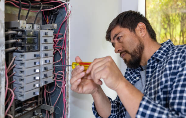 Professional Electrician in Fennville, MI